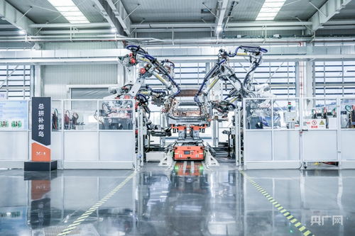 “十五五”啟新程 向新向智，機(jī)器人解鎖產(chǎn)業(yè)新賽道